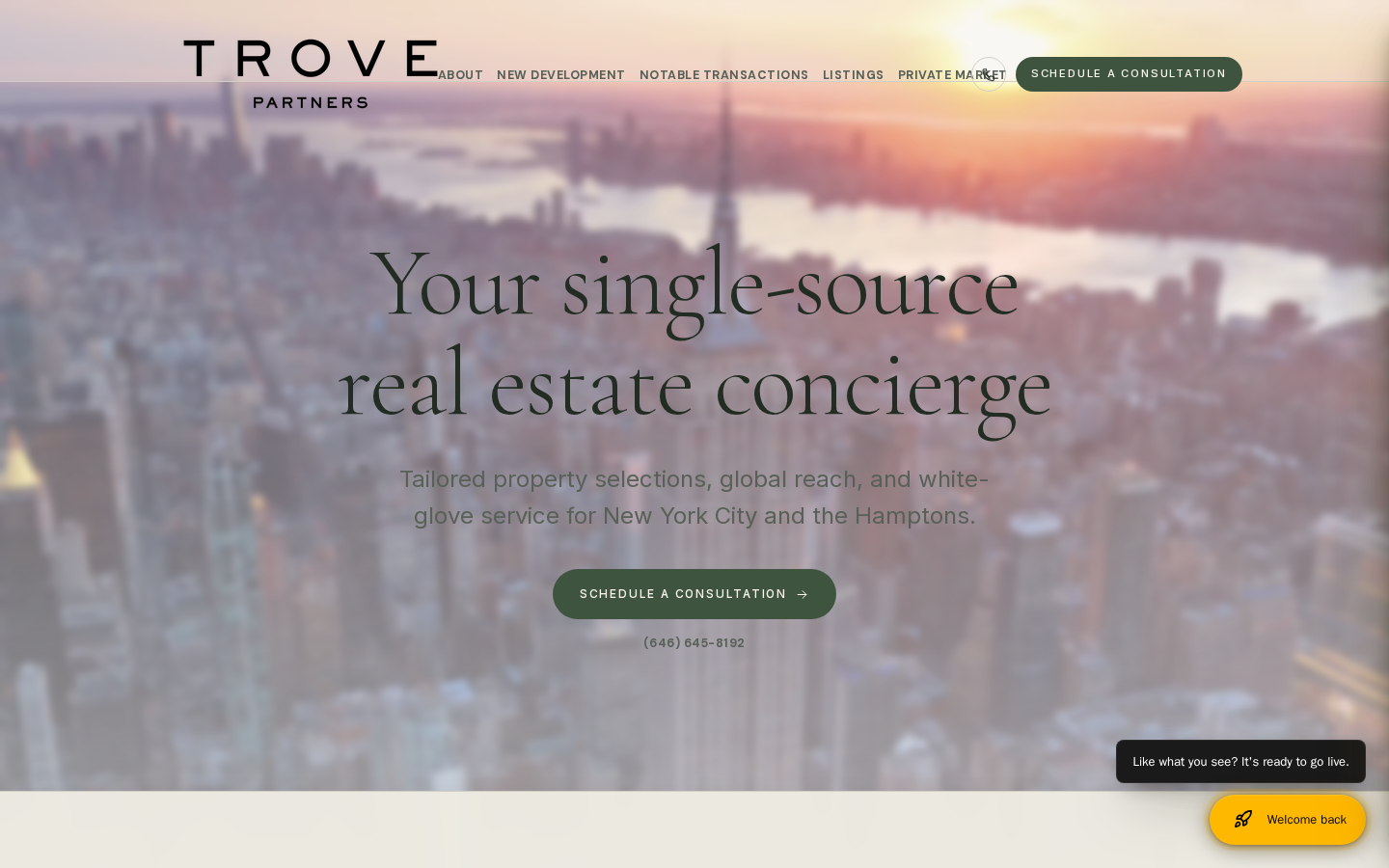 Trove Partners website preview