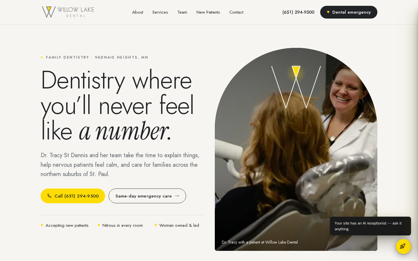 Willow Lake Dental website preview