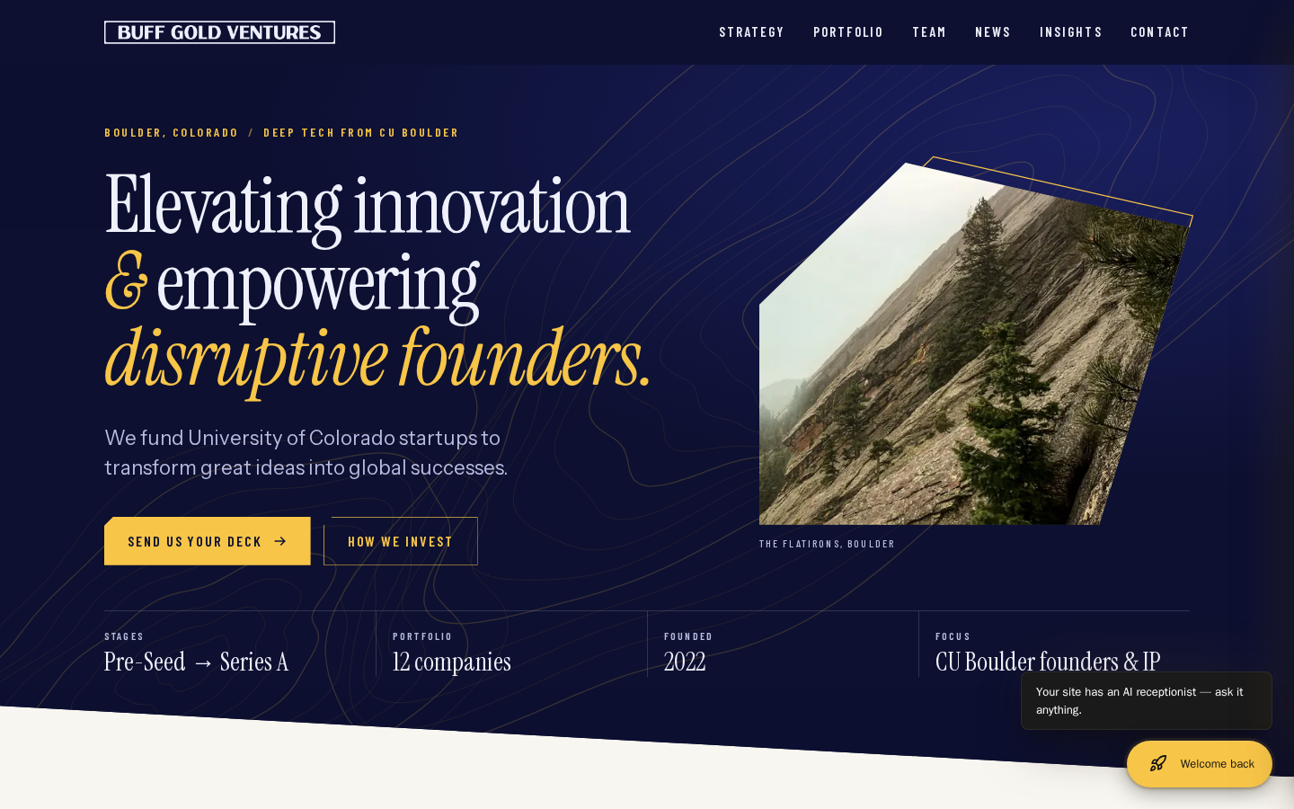 Buff Gold Ventures website preview